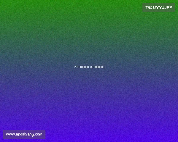 2001阿根廷赛事_01年阿根廷国青队