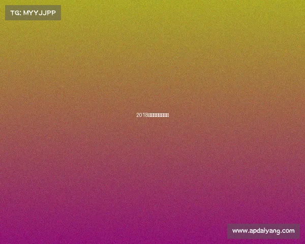 2018天津女排外援资料