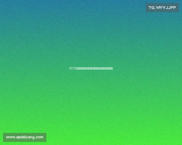 2019年世界女子网球巡回赛全年回顾顶尖选手辉煌时刻展现