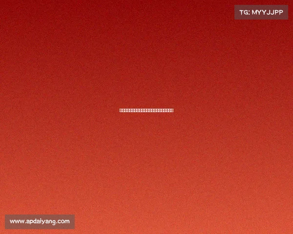 中国汽车赛事盛典:速度激情赛道铸就辉煌新纪元